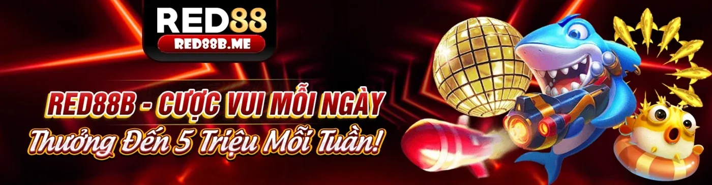 Hình ảnh đại diện casino TK66 Live APK