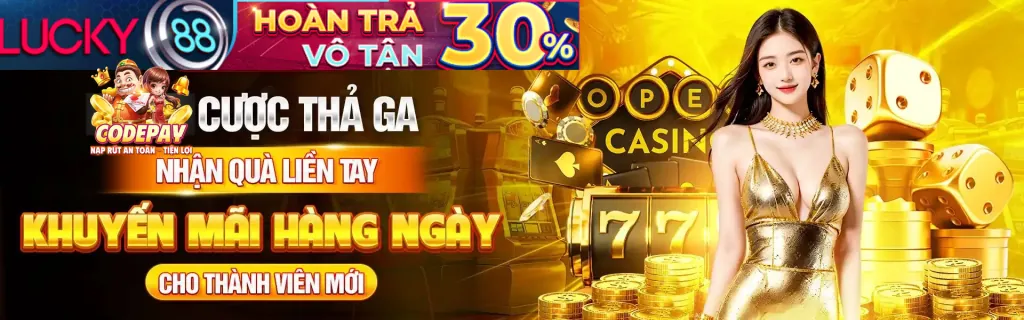 Hoàn trả hàng ngày TK66